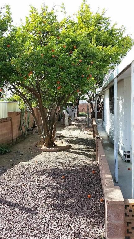 620 S 93RD Street, Mesa, AZ 85208