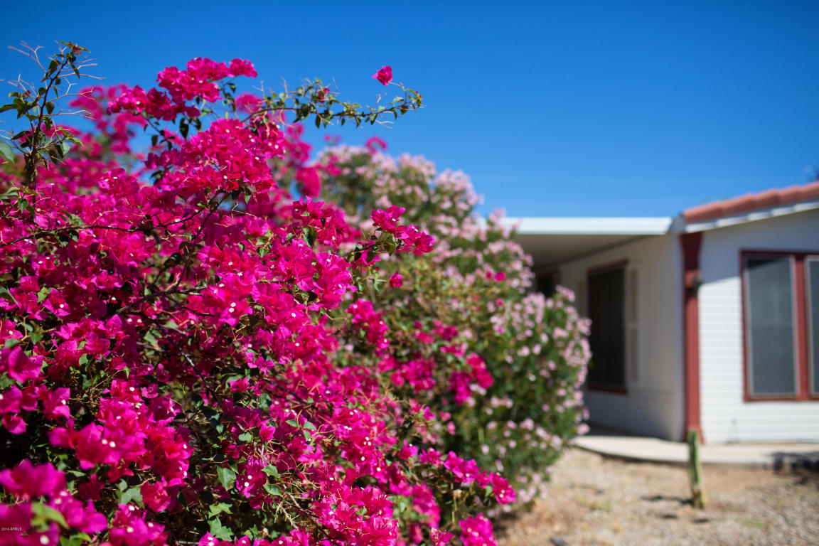 8520 E ALDER Avenue, Mesa, AZ 85208