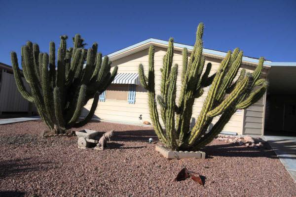 Brentwood Southern Mobile Home Park8103 E.Southern Ave #233Mesa, AZ 85209