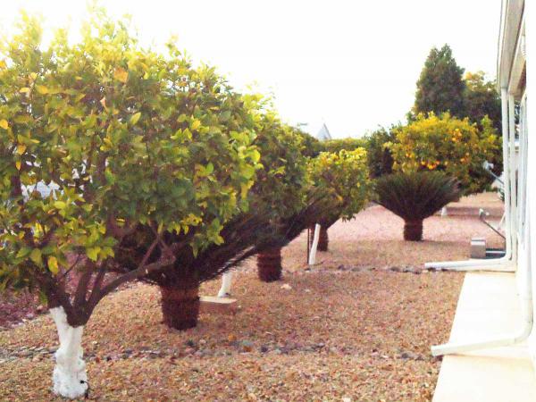 Las Palmas Grand 55+ Resort Community2550 S. Ellsworth Rd.#111Mesa, AZ 85209