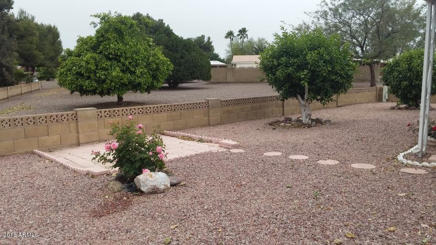 25407 S MONTANA Avenue, Sun Lakes, AZ 85248