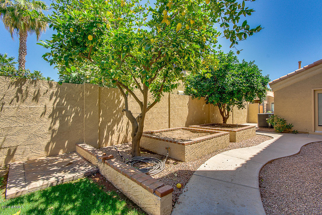 1862 W LANTANA Drive, Chandler, AZ 85248