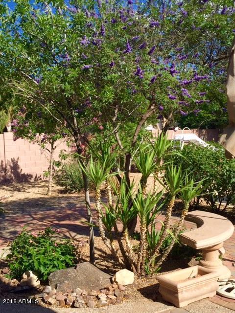 1645 E Coconino Drive, Chandler, AZ 85249