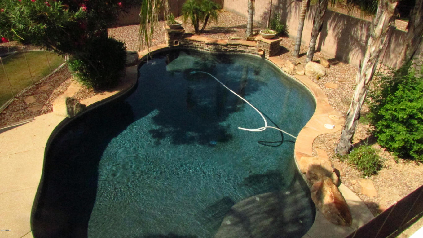 1709 E KAIBAB Drive, Chandler, AZ 85249