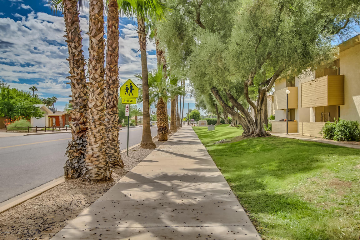 6480 N 82ND Street, Scottsdale, AZ 85250