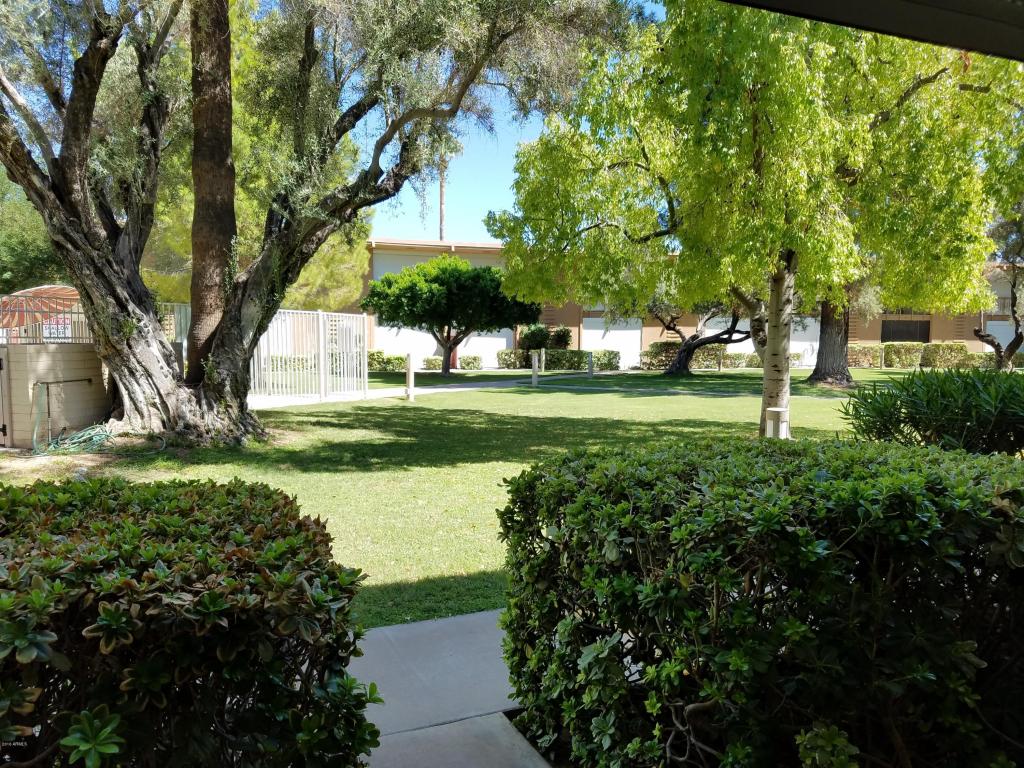 6125 E INDIAN SCHOOL Road, Scottsdale, AZ 85251