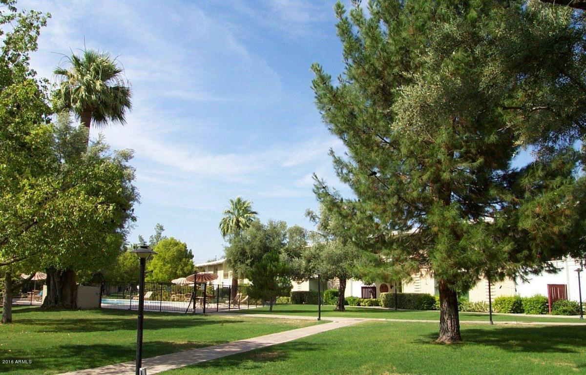 6125 E INDIAN SCHOOL Road, Scottsdale, AZ 85251