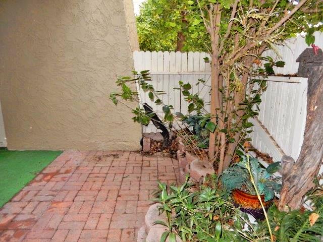 7625 E Camelback Road A138Scottsdale, AZ, 85251Maricopa County
