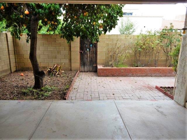 11459 N 56th StreetScottsdale, AZ, 85254Maricopa County
