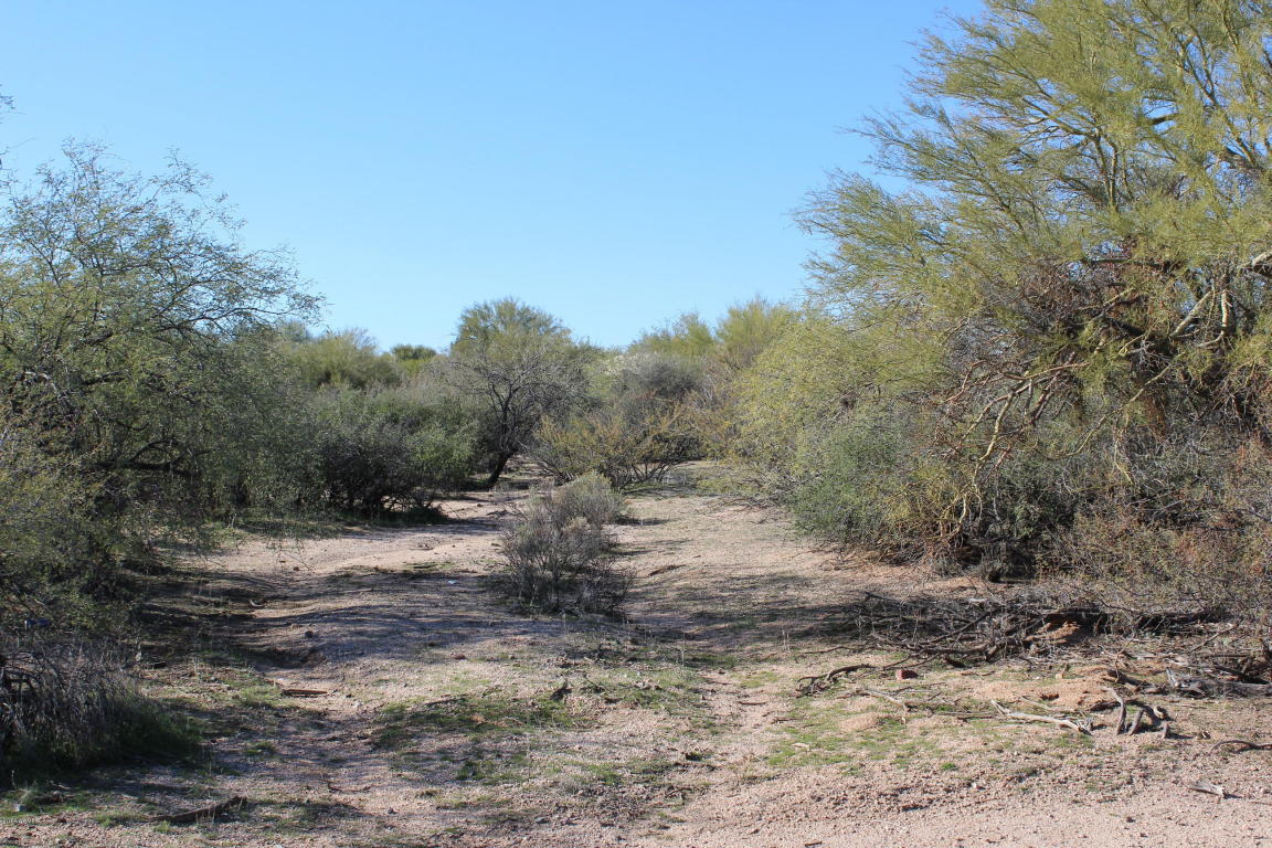 29533 N 145TH Place, Scottsdale, AZ 85262