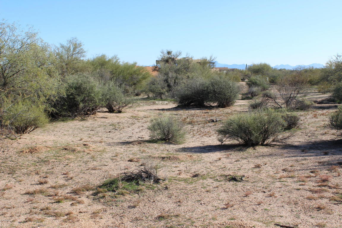 29533 N 145TH Place, Scottsdale, AZ 85262