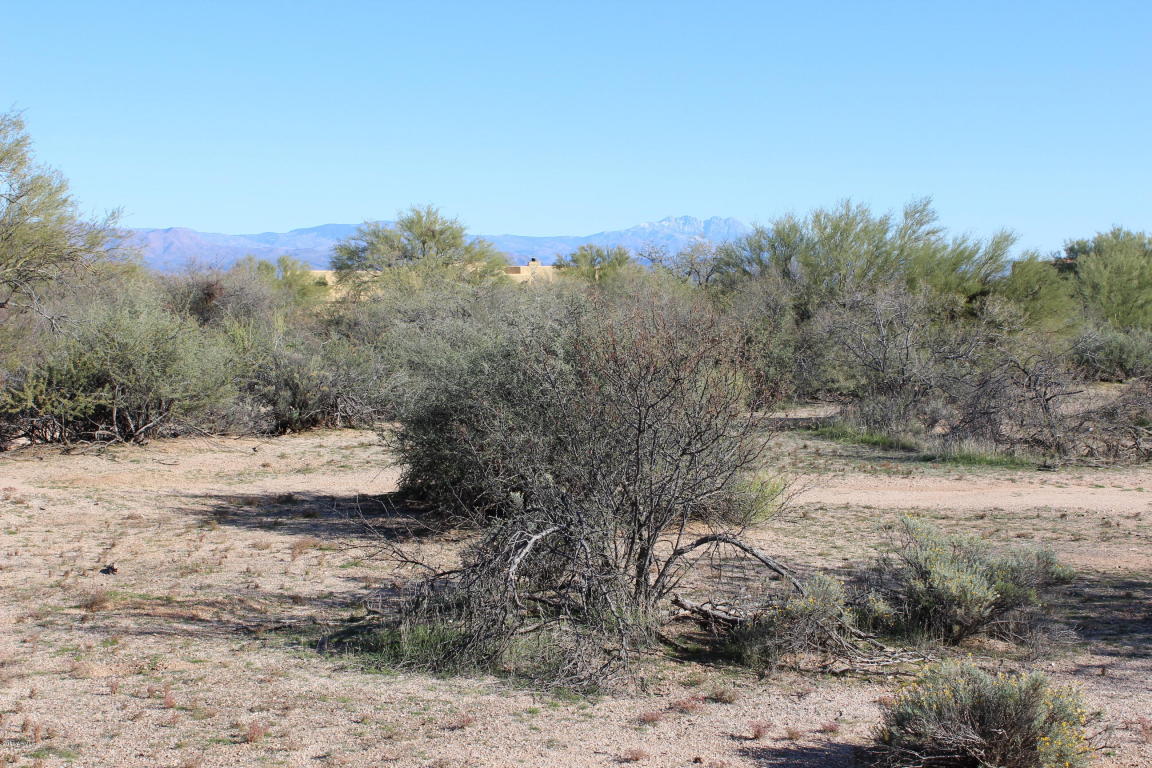 29533 N 145TH Place, Scottsdale, AZ 85262