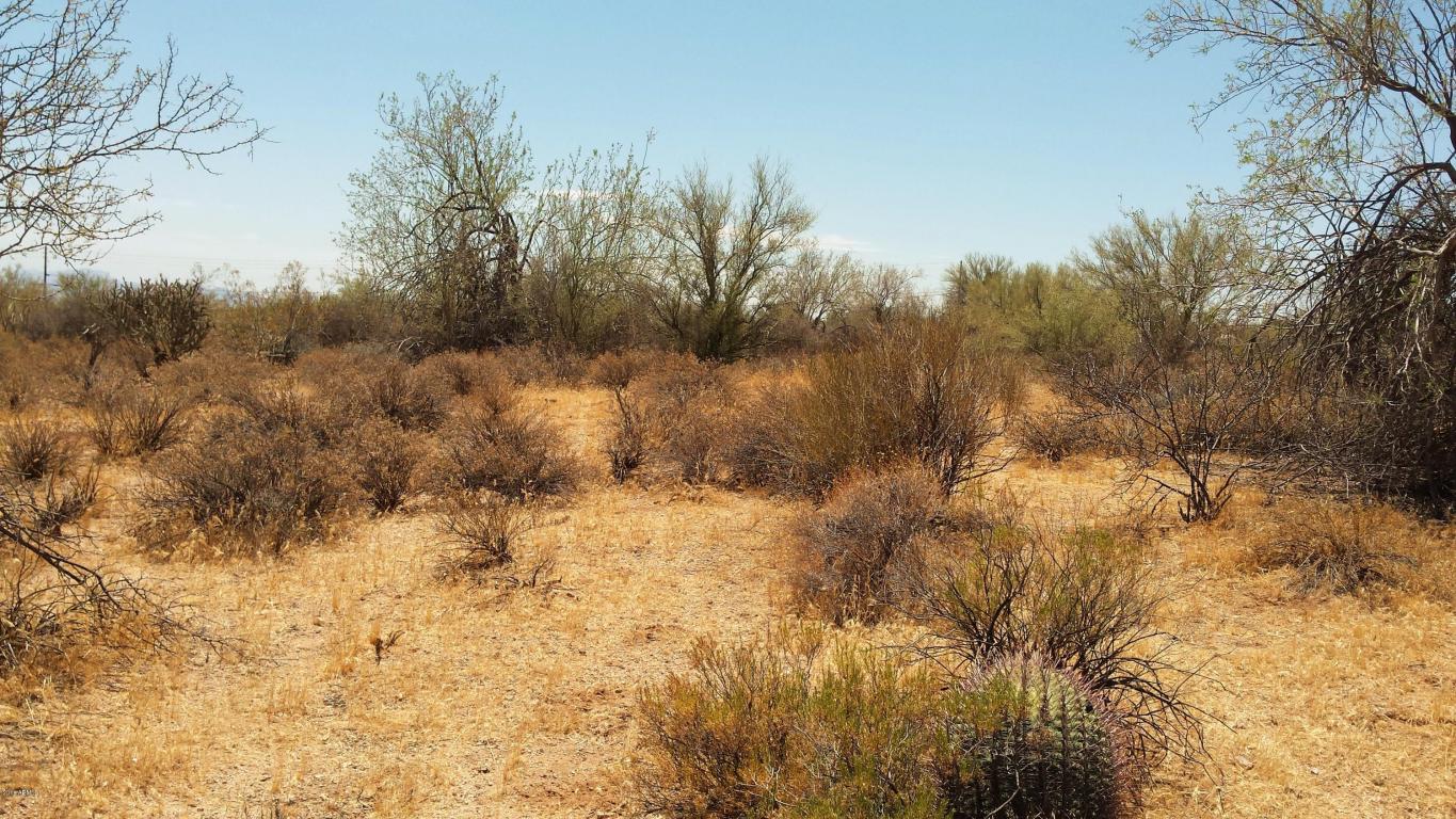 282XXX N 160th Street, Scottsdale, AZ 85262