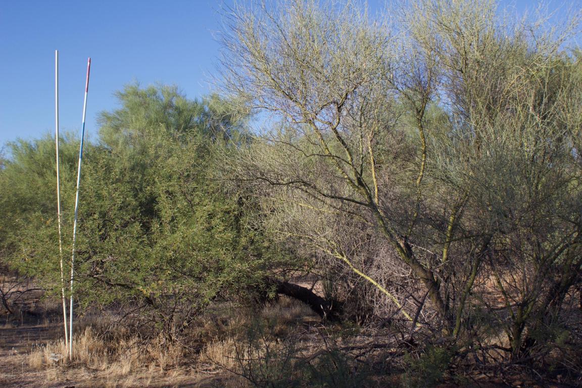 27XXX N 137th Street, Scottsdale, AZ 85262