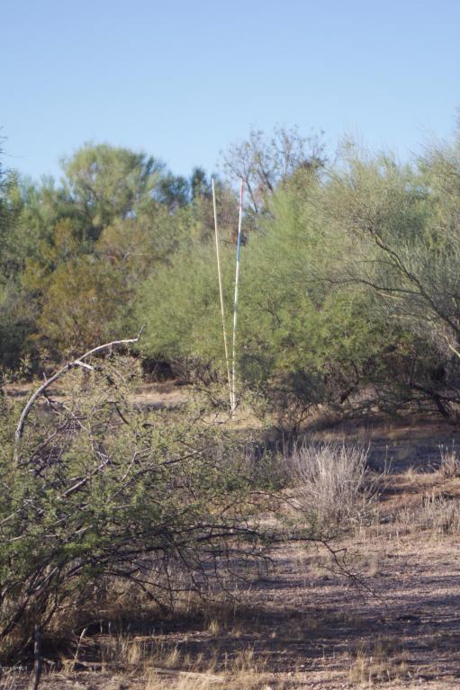 27XXX N 137th Street, Scottsdale, AZ 85262