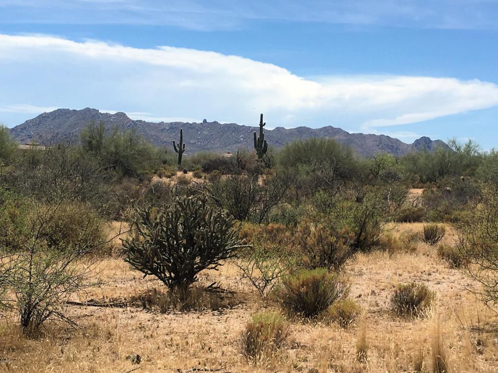 143xx E DALE Lane, Scottsdale, AZ 85262