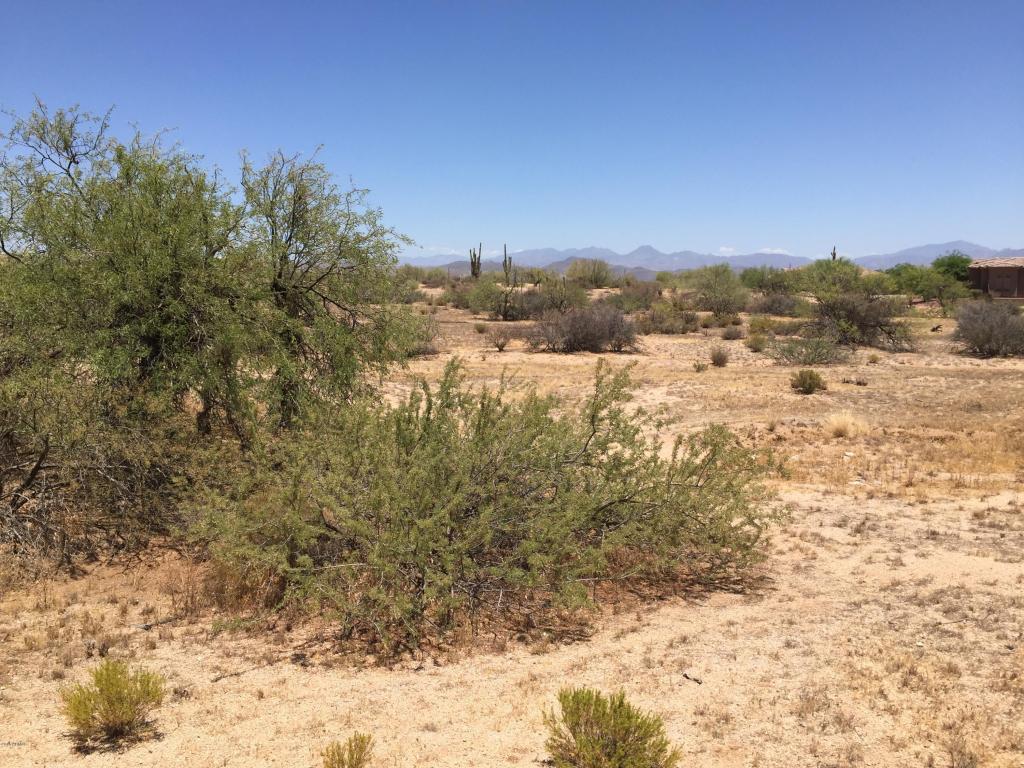 39909 N 142 Street, Scottsdale, AZ 85262