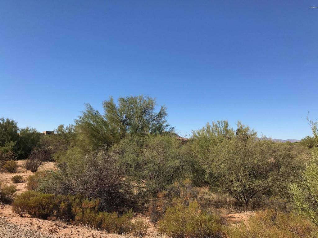 28413 N 151ST Street, Scottsdale, AZ 85262
