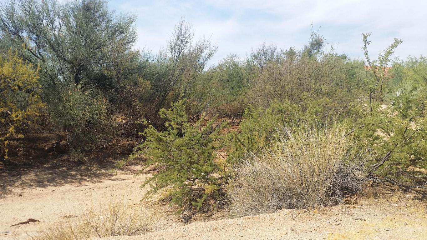 16207 E CAVEDALE Drive, Scottsdale, AZ 85262
