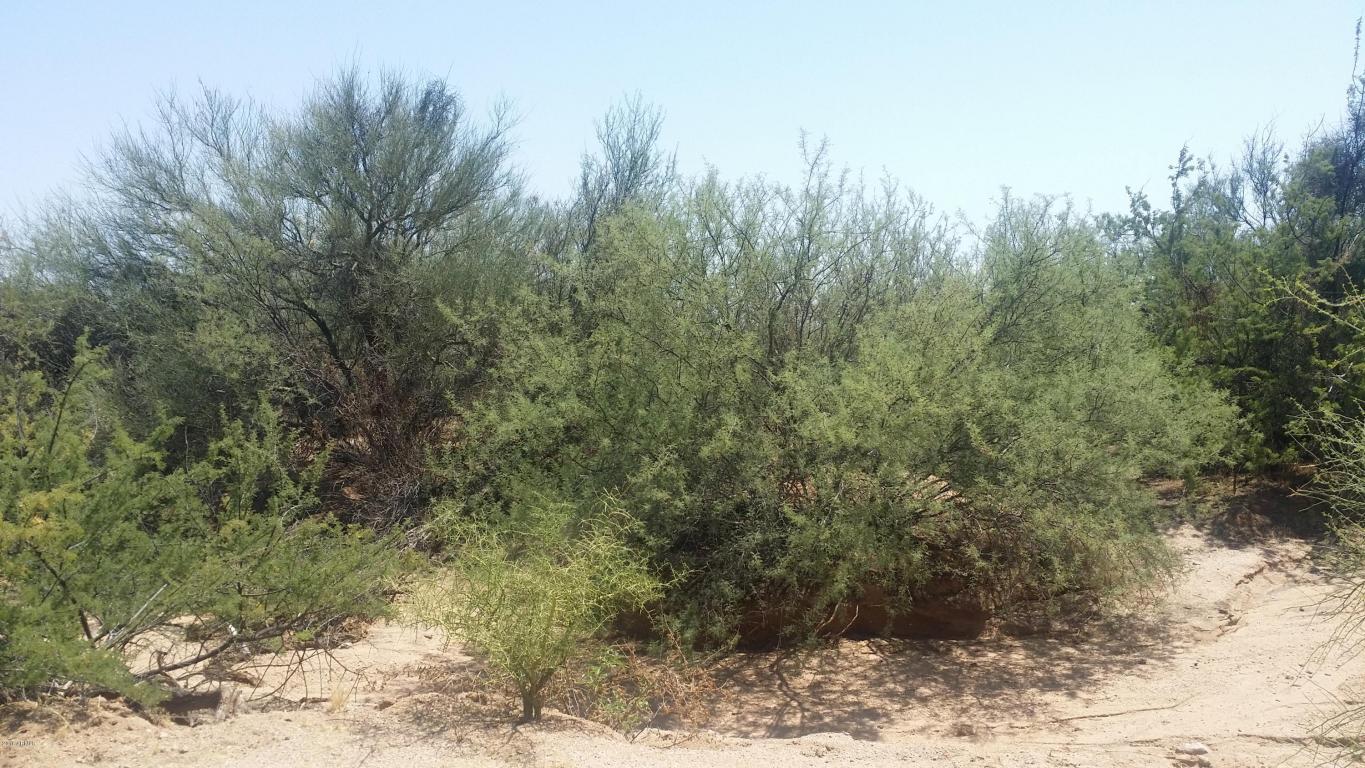 16207 E CAVEDALE Drive, Scottsdale, AZ 85262