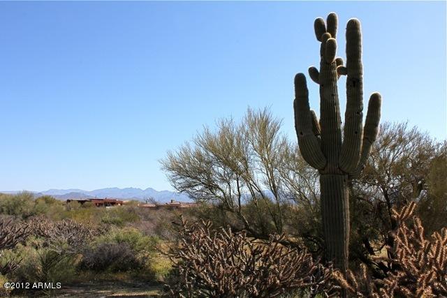 138 S McDowell Mountain Park, Scottsdale, AZ 85262