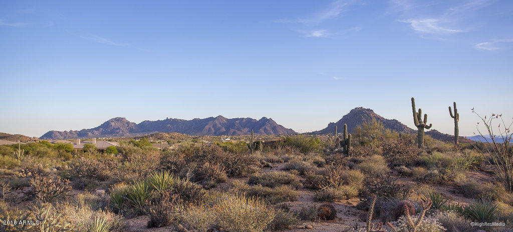 28787 N 114TH Street, Scottsdale, AZ 85262