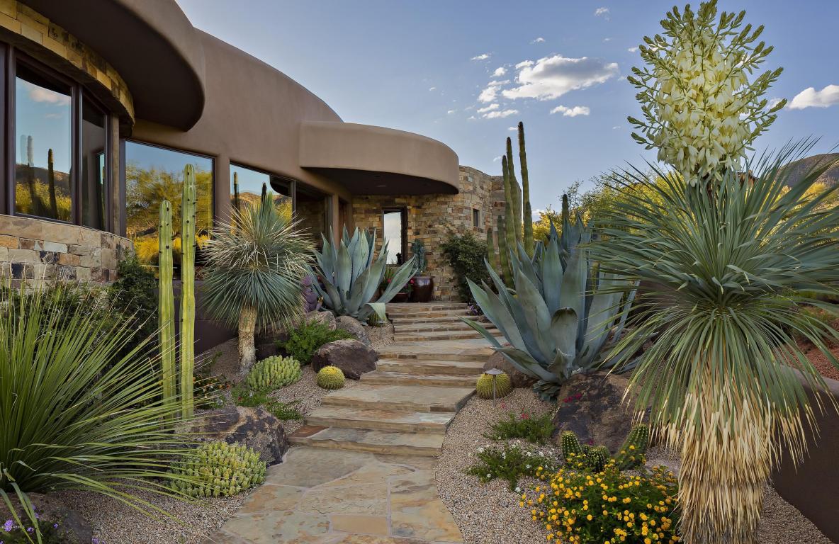 41840 N 102ND Way, Scottsdale, AZ 85262