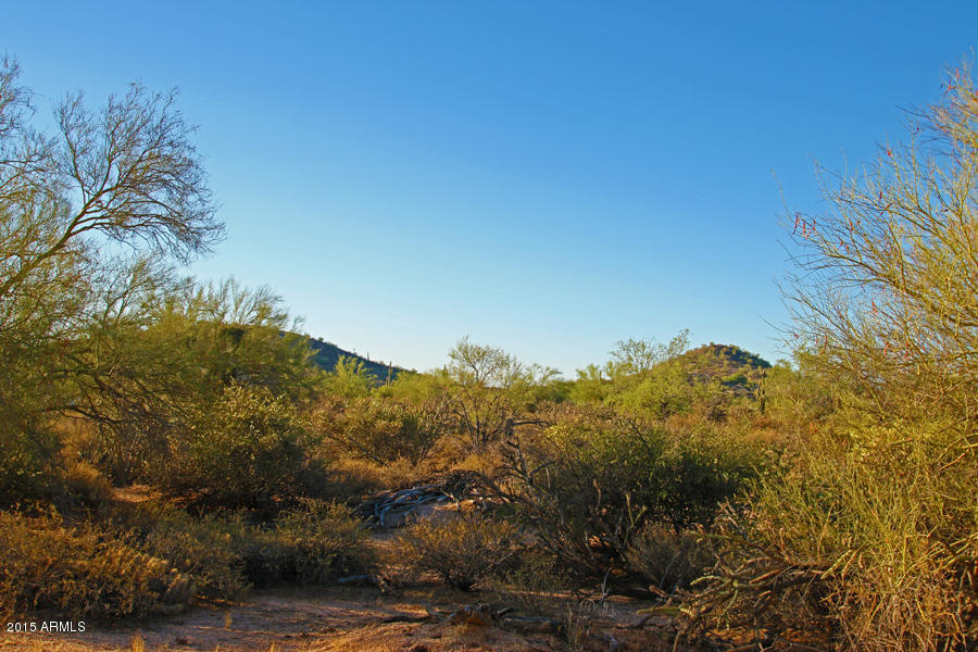 27XXX N 174th Street, Scottsdale, AZ 85263