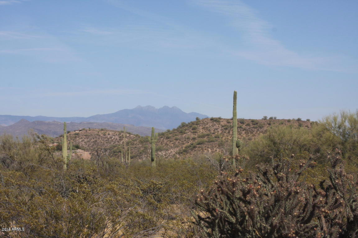 168XX N 168th Street, Rio Verde, AZ 85263