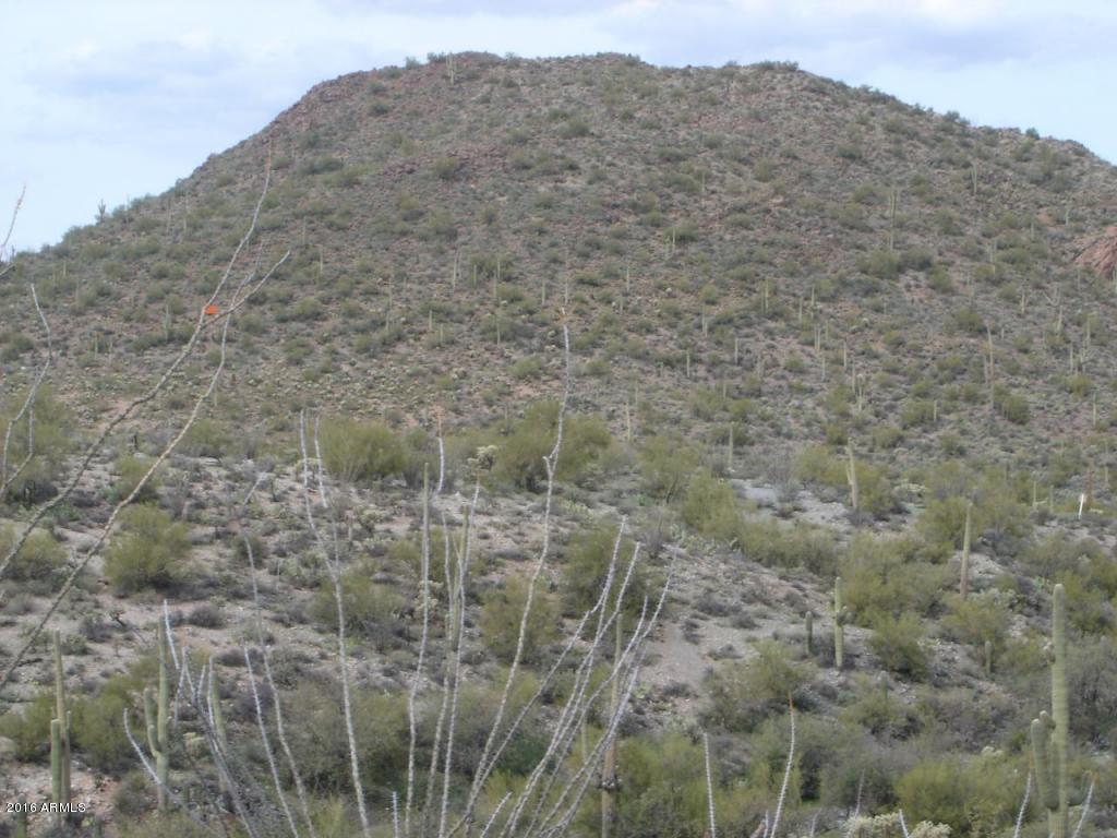 0 N Sandy Bluff Road, Fort McDowell, AZ 85264