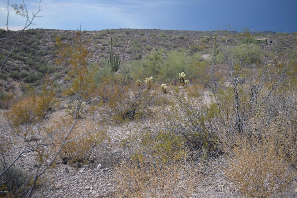 XXXXX N Goldfield Road, Fort McDowell, AZ 85264