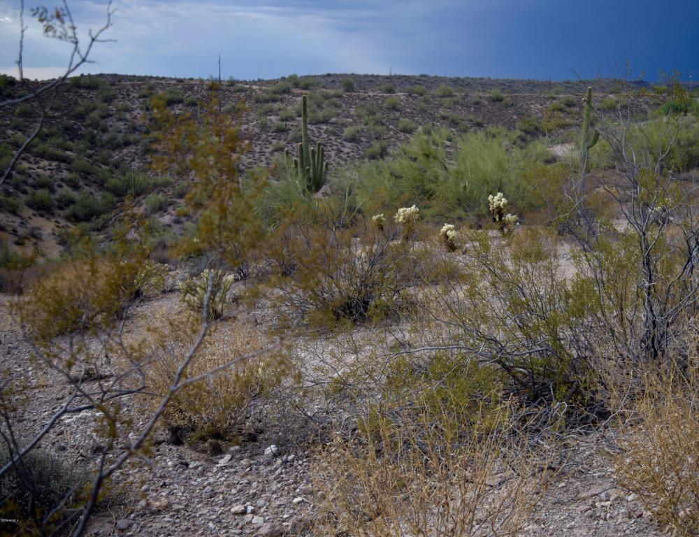 XXXXX N Goldfield Road, Fort McDowell, AZ 85264