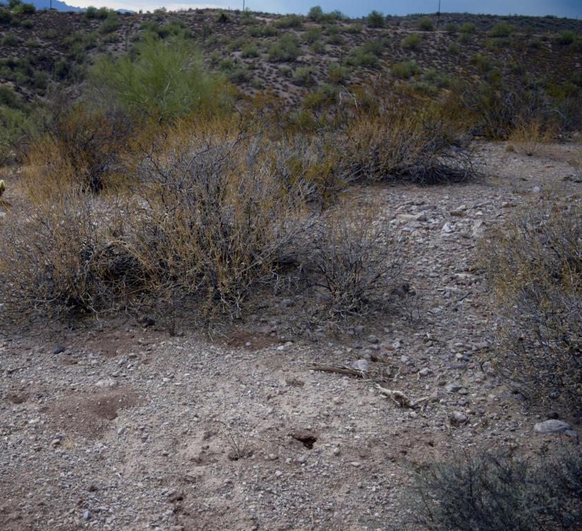 XXXXX N Goldfield Road, Fort McDowell, AZ 85264