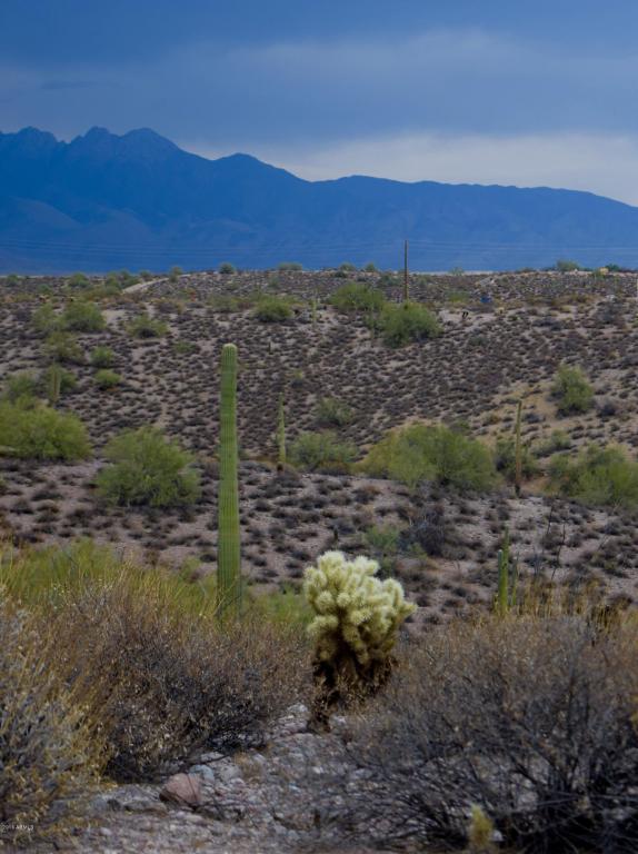 XXXXX N Goldfield Road, Fort McDowell, AZ 85264