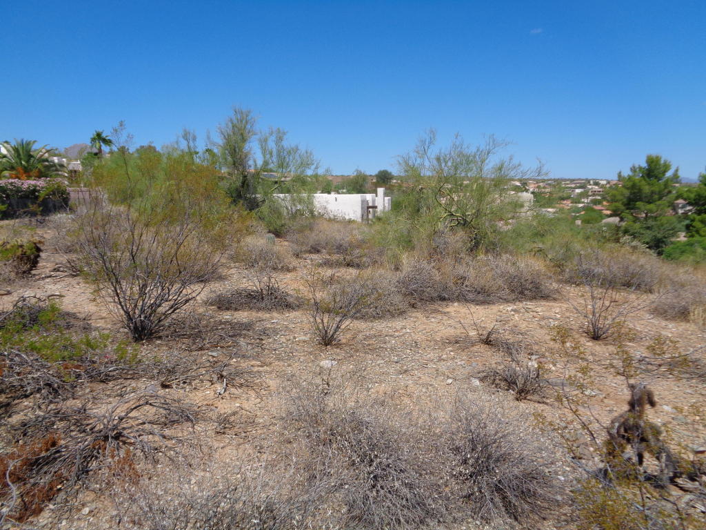 15642 N Boulder Drive, Fountain Hills, AZ 85268