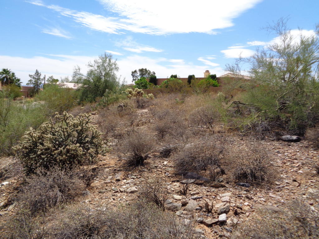 15642 N Boulder Drive, Fountain Hills, AZ 85268