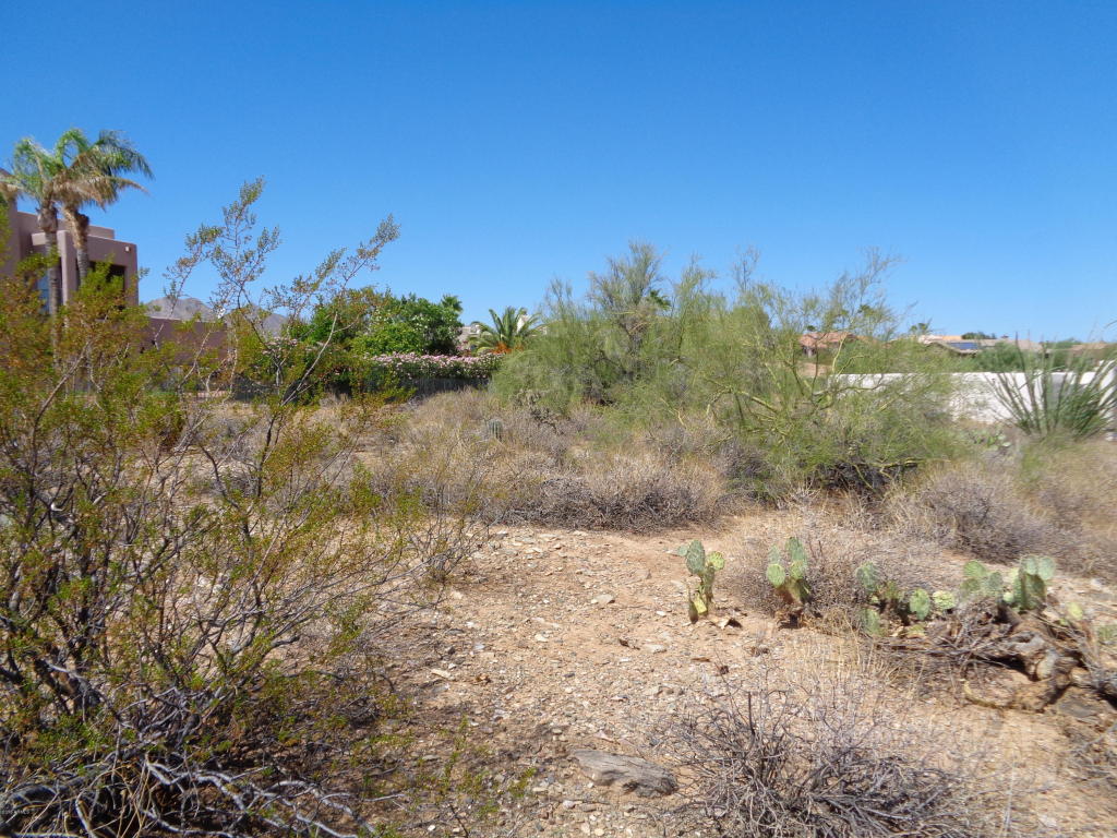 15642 N Boulder Drive, Fountain Hills, AZ 85268