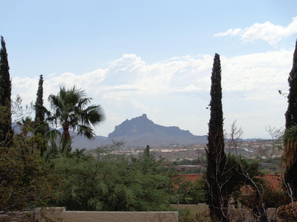 15653 N EaglesNest Drive, Fountain Hills, AZ 85268