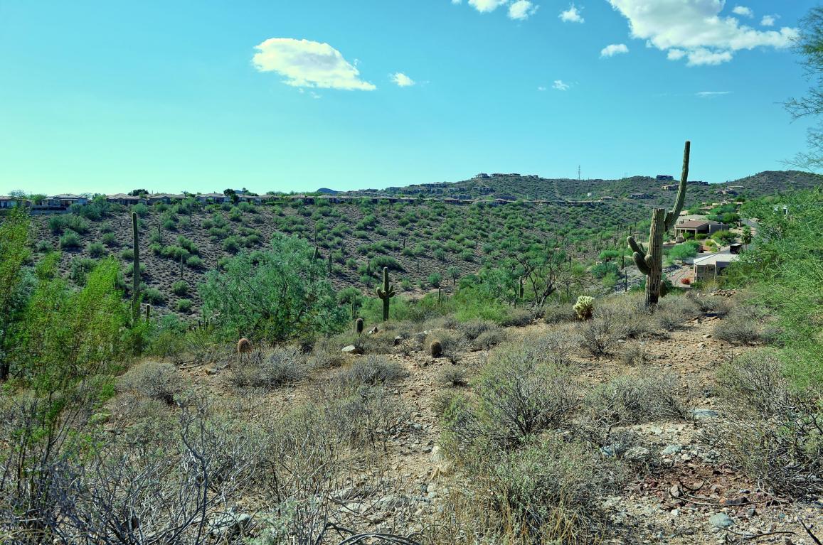 11220 N GARLAND Circle, Fountain Hills, AZ 85268