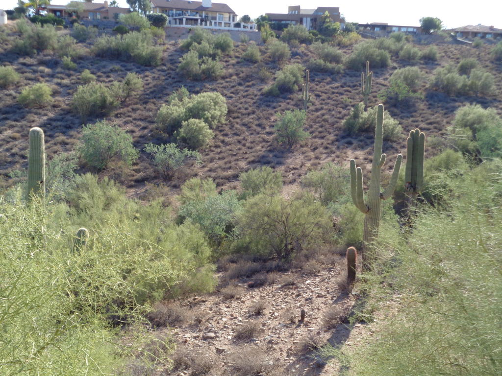 15935 E Echo Hill Drive, Fountain Hills, AZ 85268