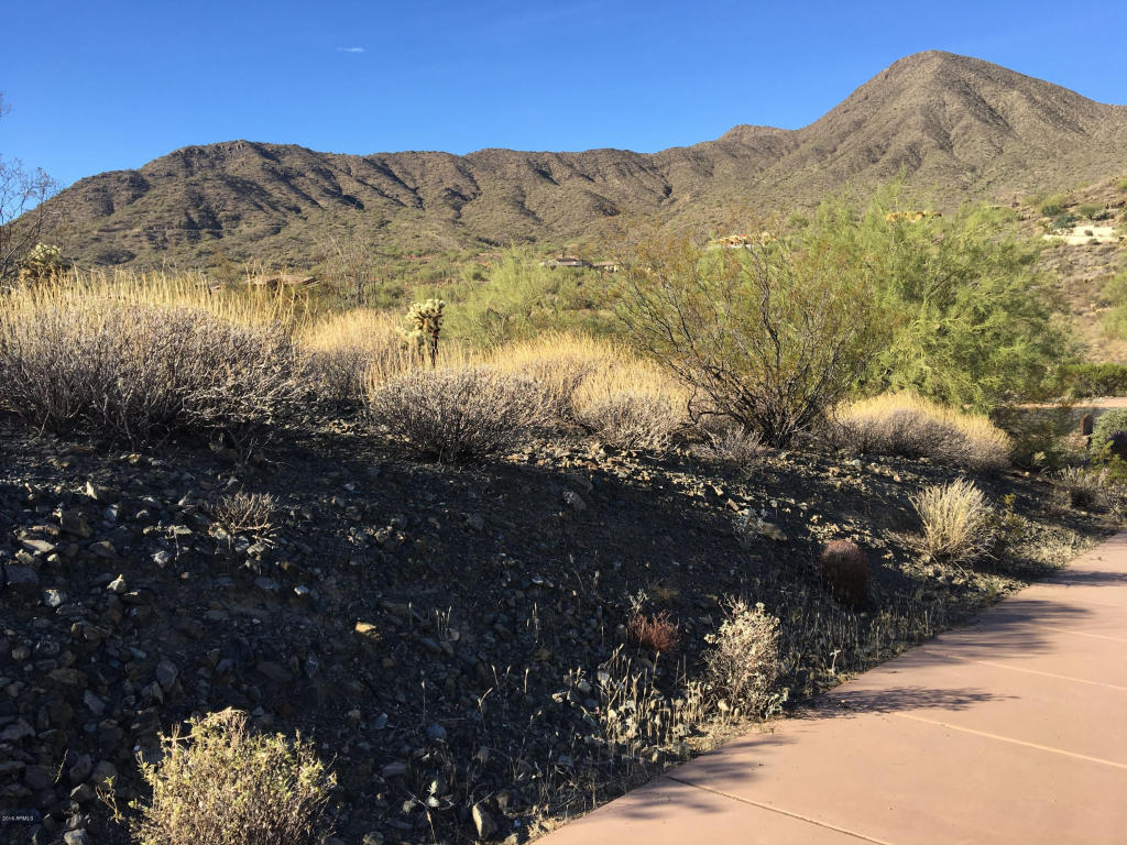 14405 E Mourning Dove Drive, Fountain Hills, AZ 85268