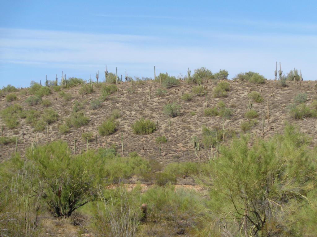 16654 N Aspen Drive, Fountain Hills, AZ 85268