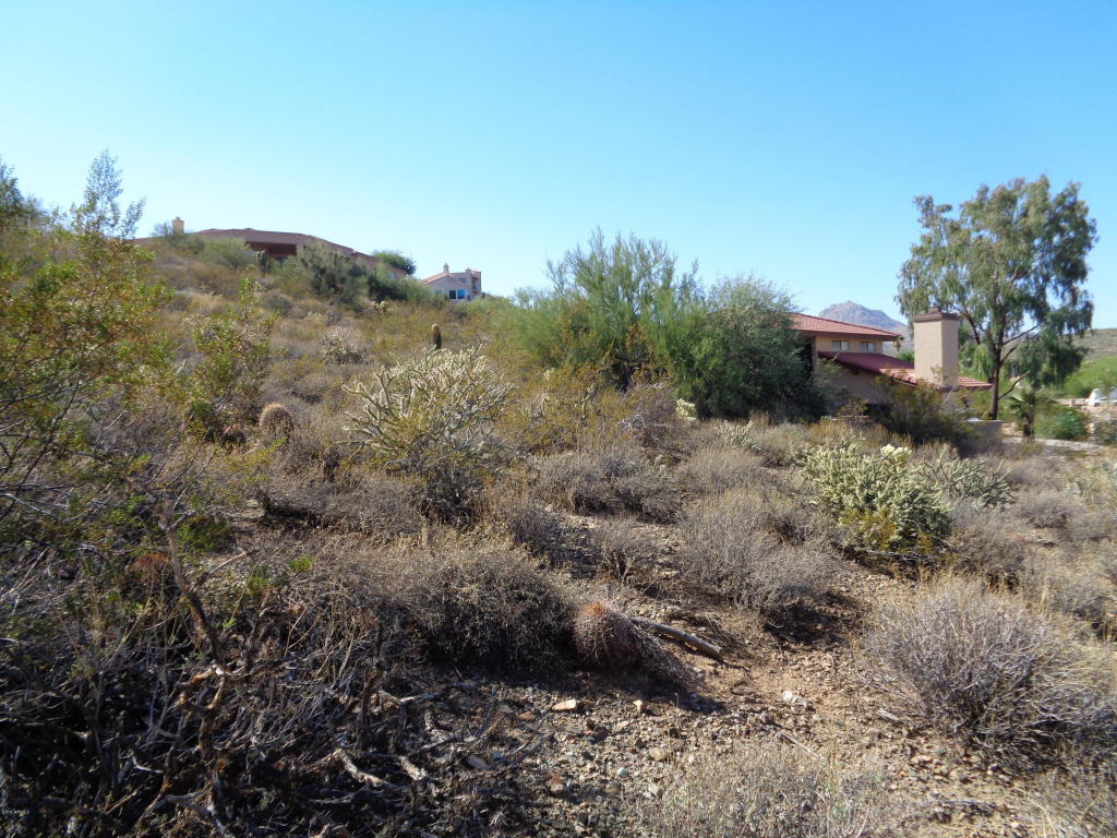 16654 N Aspen Drive, Fountain Hills, AZ 85268