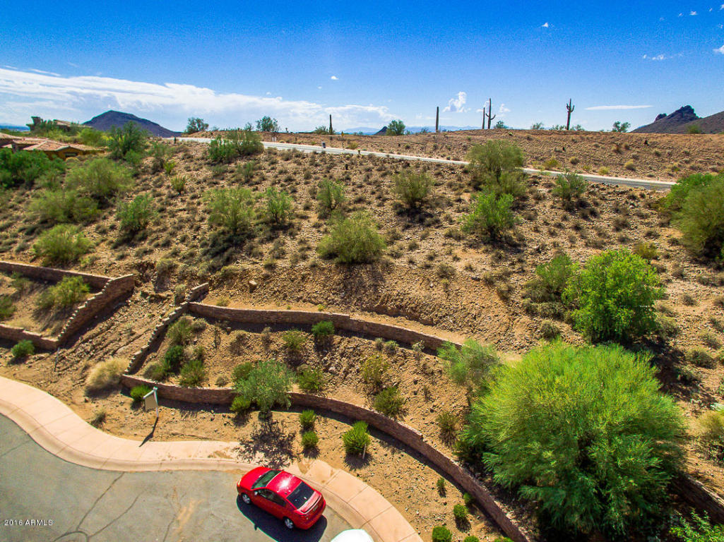 9516 N DESERT WASH Trail, Fountain Hills, AZ 85268
