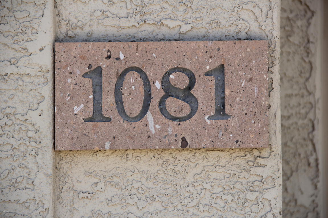 1081 W LONGHORN Drive, Chandler, AZ 85286