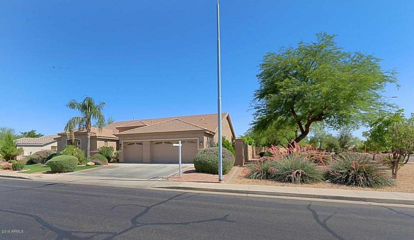 561 W ROADRUNNER Drive, Chandler, AZ 85286