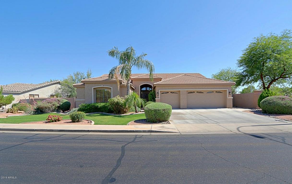 561 W ROADRUNNER Drive, Chandler, AZ 85286