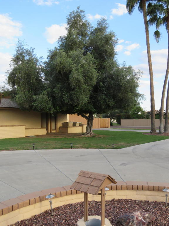6528 W BLOOMFIELD Road, Glendale, AZ 85304