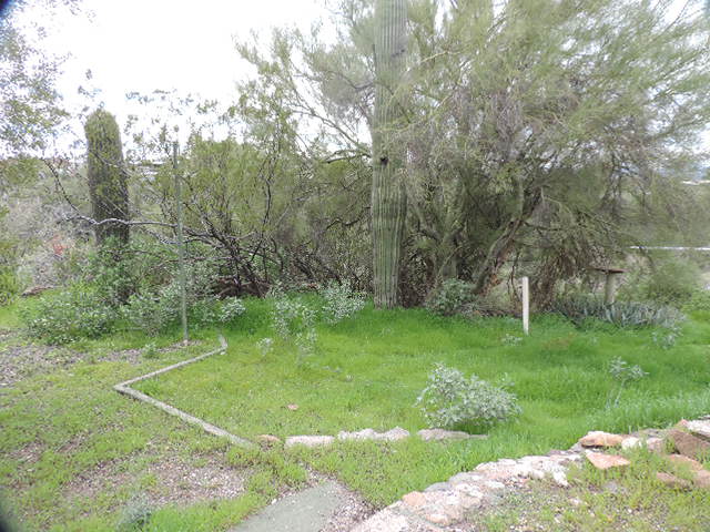 20395 E Garnet LnBlack Canyon City, AZ, 85324Yavapai County