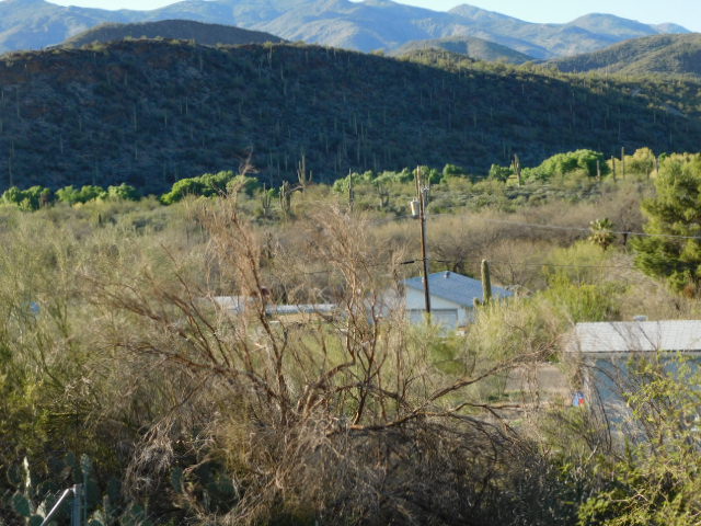 18929 E Queens WayBlack Canyon City, AZ, 85324Yavapai County
